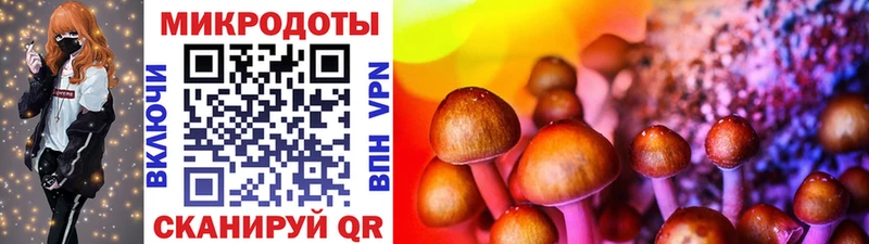 Псилоцибиновые грибы GOLDEN TEACHER  Купить  Алупка 